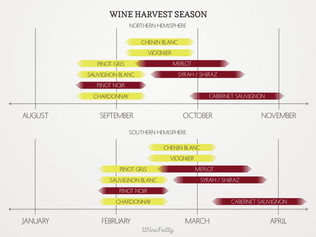 chart showing harvest season by varietal