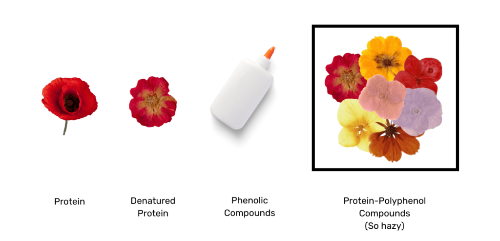 Flowers as an analogy for proteins