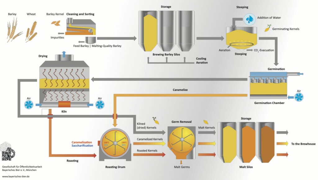 Flow chart of the malting process from kernel to steeping and germination to final product via one of three pathways: kiln-only, kiln and roaster, or roaster-only. 