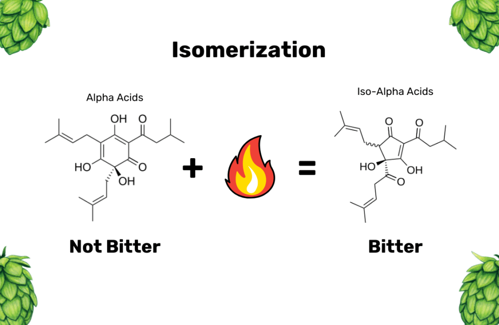 An example chemical reaction isomerizing an alpha acid into an iso-alpha acid.