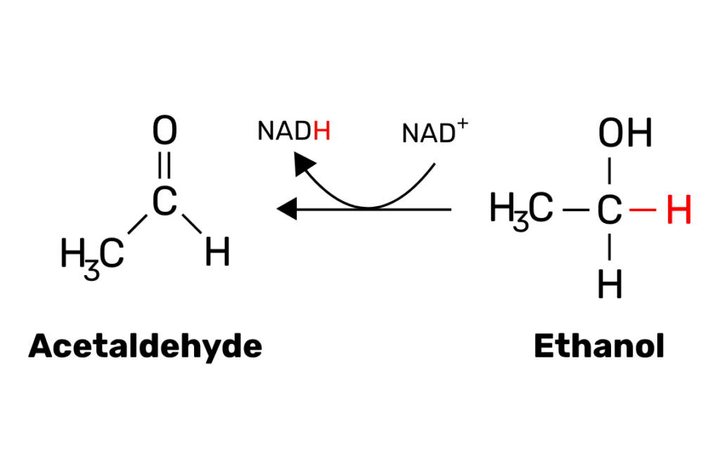 chemical reaction of ethanol becoming acetaldehyde via NAD+ to NADH
