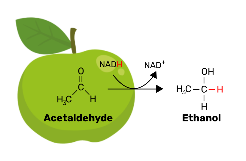 chemical reaction of acetaldehyde reacting with NADH to become ethanol
