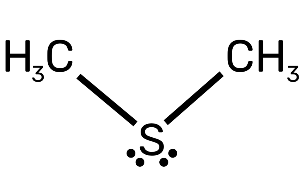 molecular geometry of dimethyl sulfide