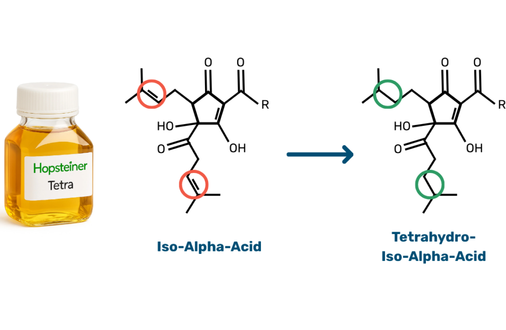 Tetra hop extract bottle next to the chemical reaction of iso-alpha-acid to tetrahydro-iso-alpha-acid